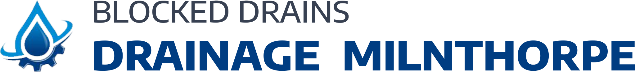 website logo